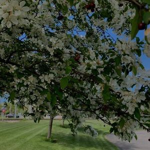 Meet your Posher, Obito